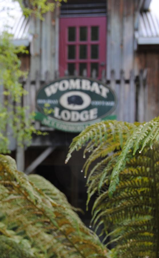 The Wombat Cottage Tullah Exterior foto